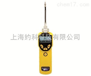 PGM-7320VOC 检测仪 MiniRAE 3000